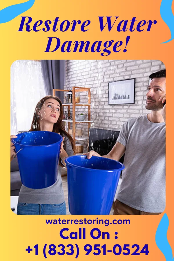 water restoration Total Drying Company Wellman