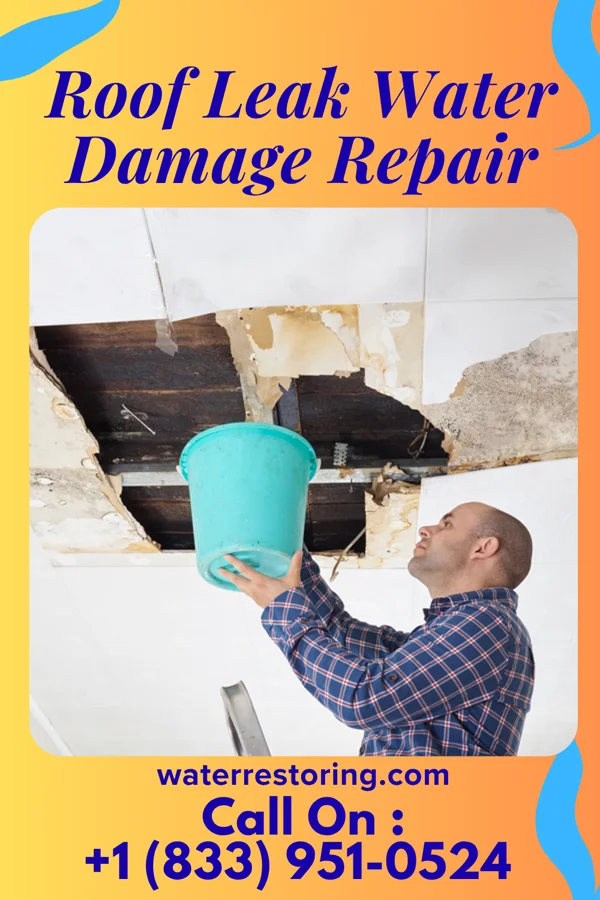 Roof Leak Water Damage Repair in Wellman, TX